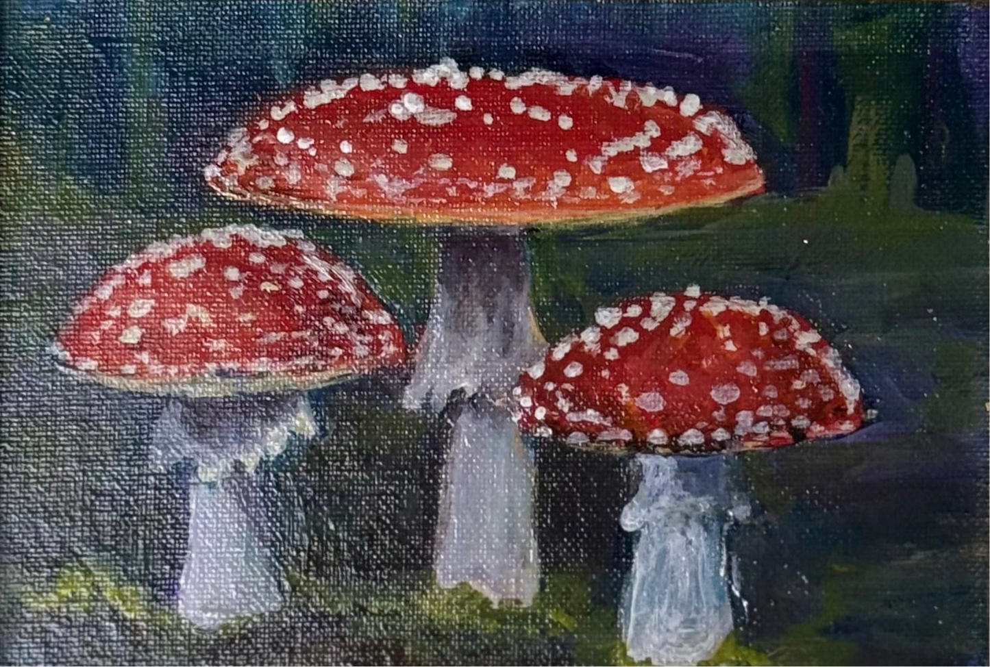 Forest Mushrooms -5x7