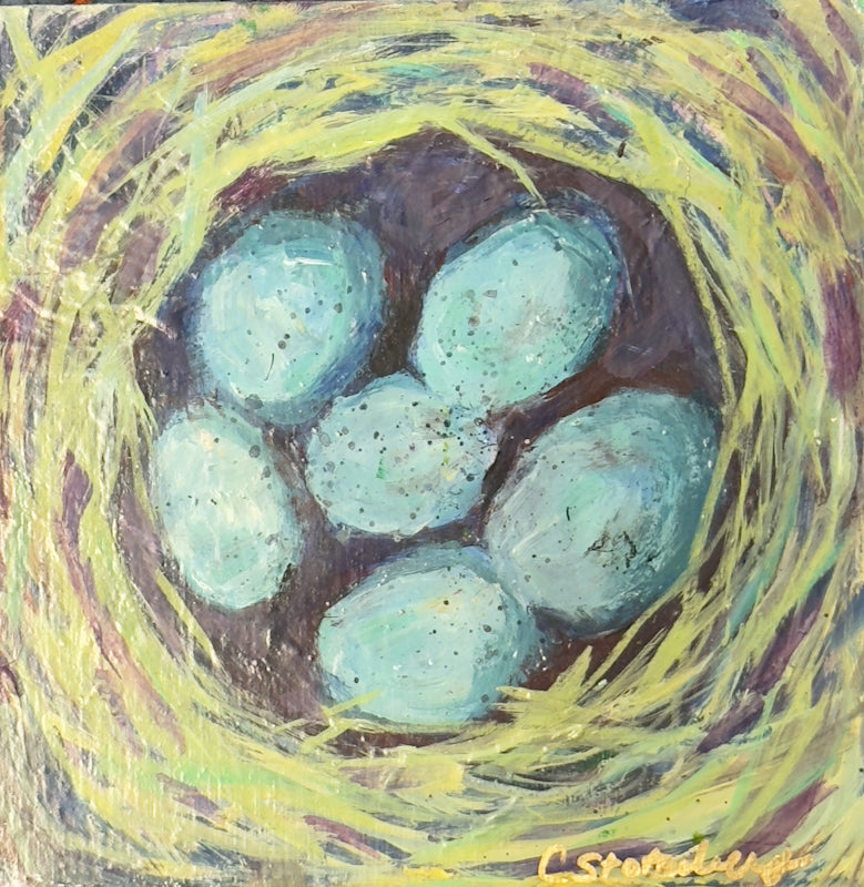 Nest - 6x6