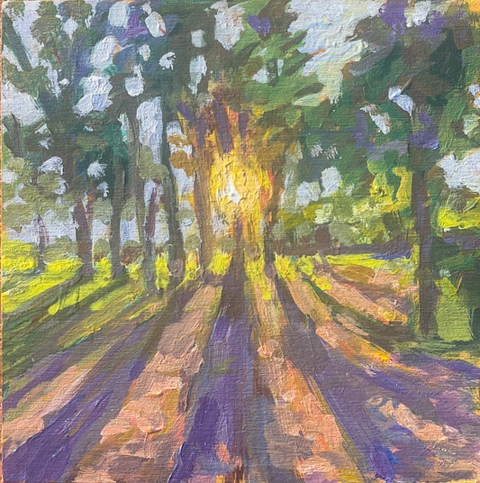 Golden Hour in the Park - 8X8