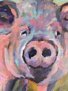 Close up - pig 