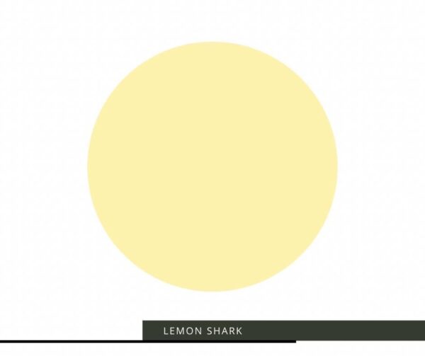 Lemon shark